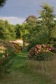 0070Arboretum Vallee aux loups